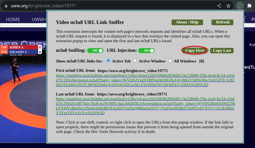 Screenshot of the extension.